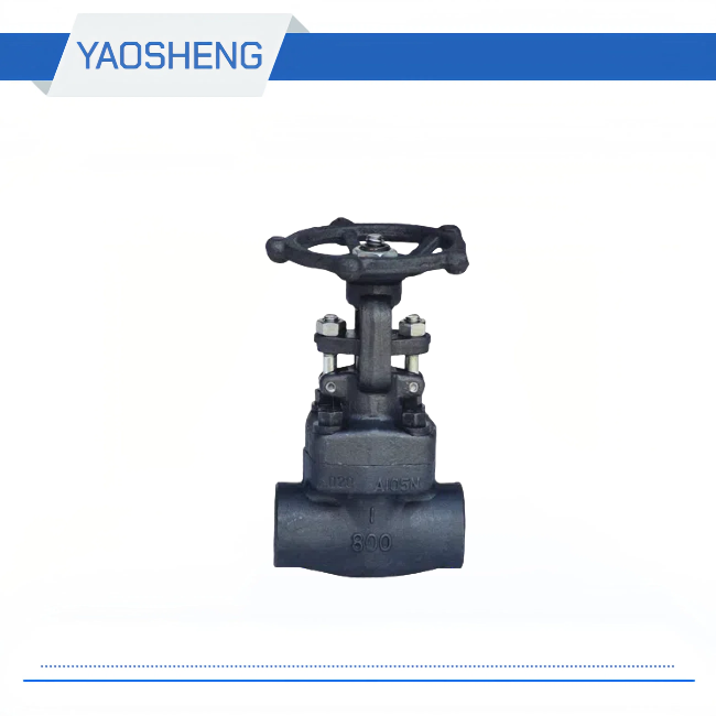 Forged steel gate valve Z11/61H-800LB-2500LB