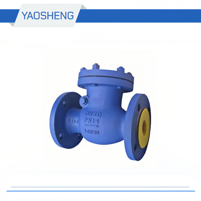 DIN Swing Check Valve