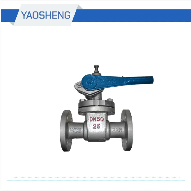 P48H-16 Blow Down Valve