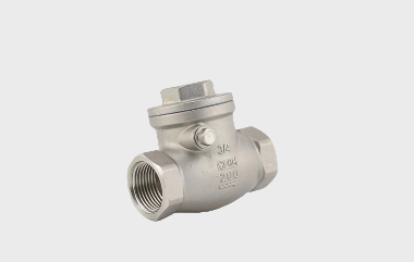 Check Valve Market: A Closer Look at Growth, Trends, and Challenges in 2025