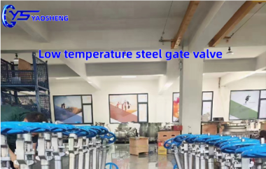 The Benefits of Low Temperature Stainless Steel Gate Valves