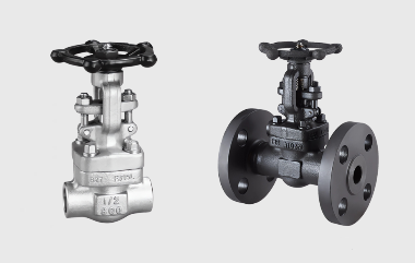 Summary of structural features of forged steel gate valves, globe valves, and check valves