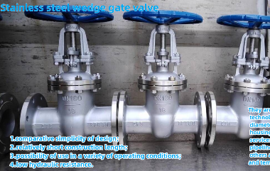 Understanding the Importance of Stainless Steel Wedge Gate Valves