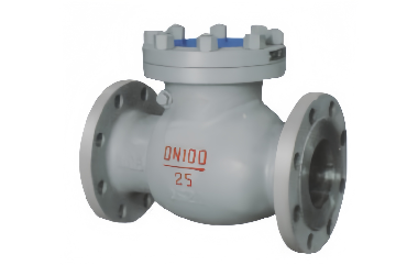 About the usefulness of check valve