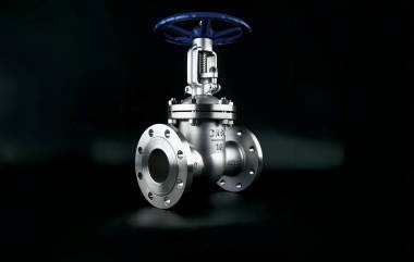 Stainless steel gate valve application field